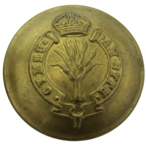 WW1 Welsh Guards Regiment (Welch) Tunic Button - 26mm