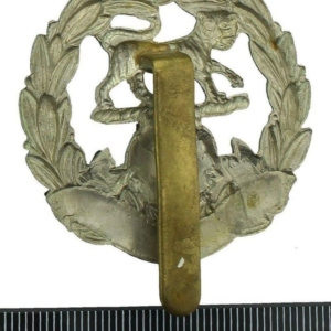WW2 Hampshire Regiment Cap Badge