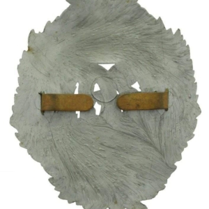 WW2 Argyll and Sutherland Highlanders Regiment PLASTIC Cap Badge