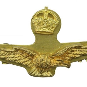 WW2 Royal Air Force RAF Side / Forage 2-Piece Cap Badge