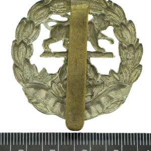 WW1 Hampshire Regiment Cap Badge