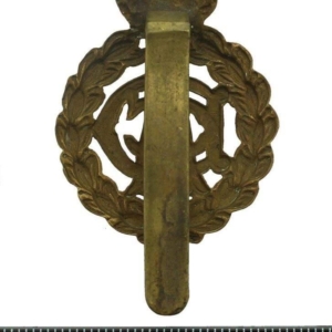 WW1 Army Dental Corps ADC Dentist Cap Badge