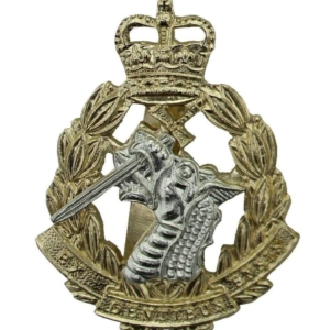Royal Army Dental Corps RADC Dentist Staybrite Anodised Cap Badge - Staybright