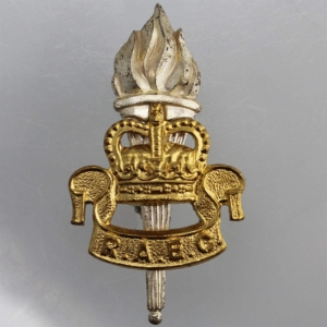 Royal Army Educational Corps RAEC Cap Badge - Queens Crown