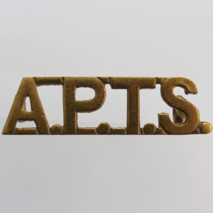 Royal Army Physical Training Staff Corps APTS Shoulder Title