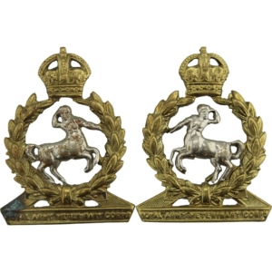WW2 Royal Army Veterinary Corps RAVC Collar Badge PAIR