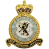 234 Squadron Royal Air Force RAF Lapel Badge