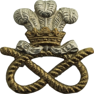 North Staffordshire Regiment Collar Badge