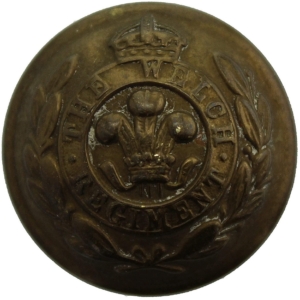 WW2 The Welch Regiment Tunic Button - 26mm