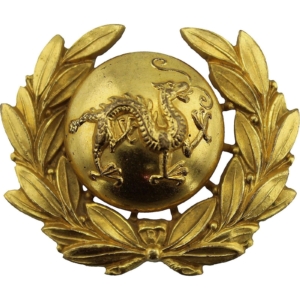 VICTORIAN The Border Regiment Collar Badge