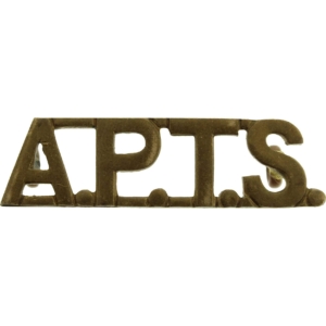 Royal Army Physical Training Staff Corps APTS Shoulder Title
