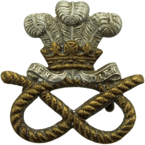 North Staffordshire Regiment Collar Badge