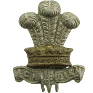 WW1 Leinster Regiment Irish Collar Badge
