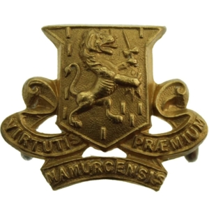 Royal Irish Regiment Collar Badge