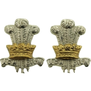 WW1 Leinster Regiment Irish Collar Badge PAIR