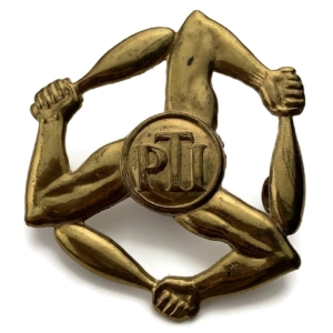 Physical Training Instructor PTI Proficiency Arm / Sleeve Trade Badge