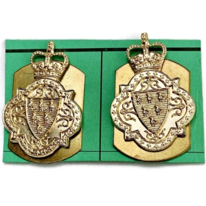 Sussex Yeomanry Regiment Staybrite Anodised Collar Badge PAIR - Staybright