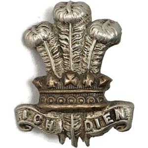 WW1 Leinster Regiment Irish Collar Badge