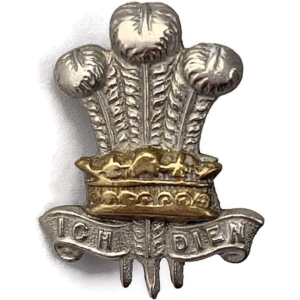 WW1 Leinster Regiment Irish Collar Badge