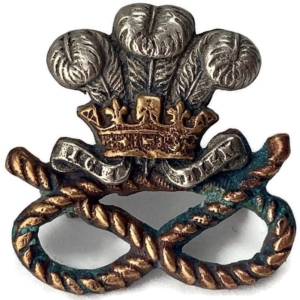 North Staffordshire Regiment Collar Badge