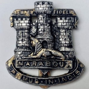 Devonshire and Dorset Staybrite Anodised Cap Badge - Staybright