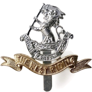 Duke of Wellingtons West Riding Regiment Staybrite Anodised Cap Badge - Staybright