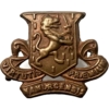 Royal Irish Regiment Collar Badge