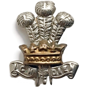 WW1 Leinster Regiment Irish Collar Badge
