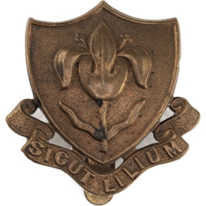Magdalen College School, Oxford OTC Officers Training Corps College Cap Badge