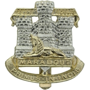 Devonshire and Dorset Staybrite Anodised Cap Badge - Staybright