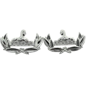Gloucestershire Regiment Staybrite Anodised Collar Badge PAIR - Staybright