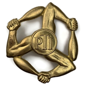 Physical Training Instructor PTI Proficiency Arm / Sleeve Trade Badge