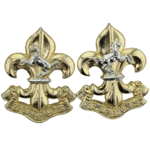 Kings Liverpool Regiment Staybrite Anodised Collar Badge PAIR - Staybright