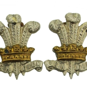 WW1 Leinster Regiment Irish Collar Badge PAIR