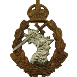 WW2 Royal Army Dental Corps RADC Dentist Cap Badge