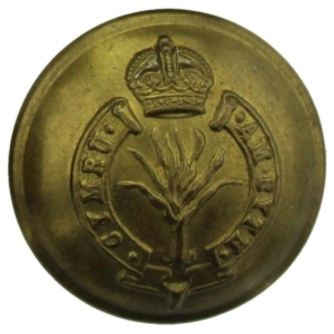 WW1 Welsh Guards Regiment (Welch) Tunic Button - 26mm