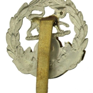 WW1 Hampshire Regiment Cap Badge