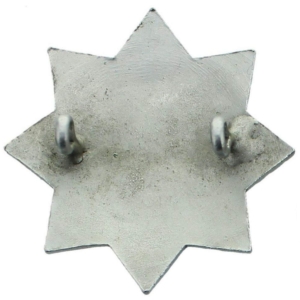 WW2 Auxiliary Fire Service Brigade Corps AFS Cap Badge