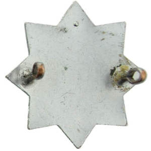 WW2 Auxiliary Fire Service Brigade Corps AFS Cap Badge