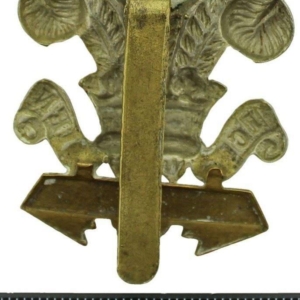 WW1 Leinster Regiment Irish Cap Badge