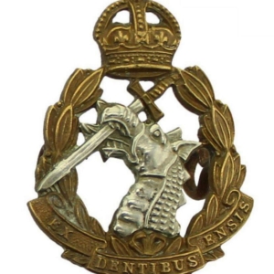 WW2 Royal Army Dental Corps RADC Collar Badge