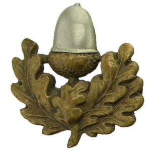 The Cheshire Regiment Collar Badge