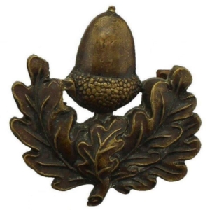 The Cheshire Regiment OFFICERS Bronze Collar Badge