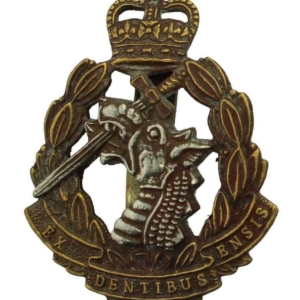 Royal Army Dental Corps RADC Dentist Cap Badge - Queens Crown