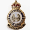 464 Squadron Royal Australian Air Force RAAF Lapel Badge