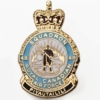 418 Squadron Royal Canadian Air Force RCAF Lapel Badge
