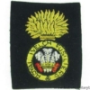 R1B/04 - Royal Welch Fusiliers RWF Welsh Regiment Blazer Badge