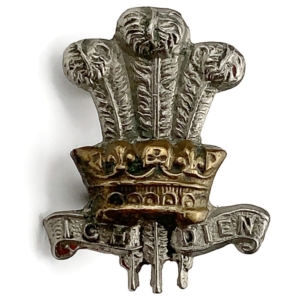 WW1 Leinster Regiment Irish Collar Badge