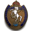 Royal Electrical & Mechanical Engineers REME Regimental Association Old Comrades Lapel Badge