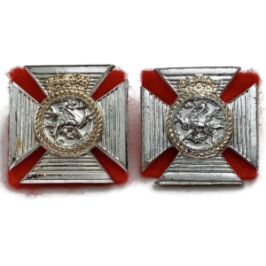 Duke of Edinburghs Royal Regiment Staybrite Anodised Collar Badge PAIR - Staybright